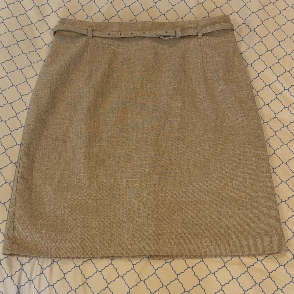 Elegant H&M Tan Skirt